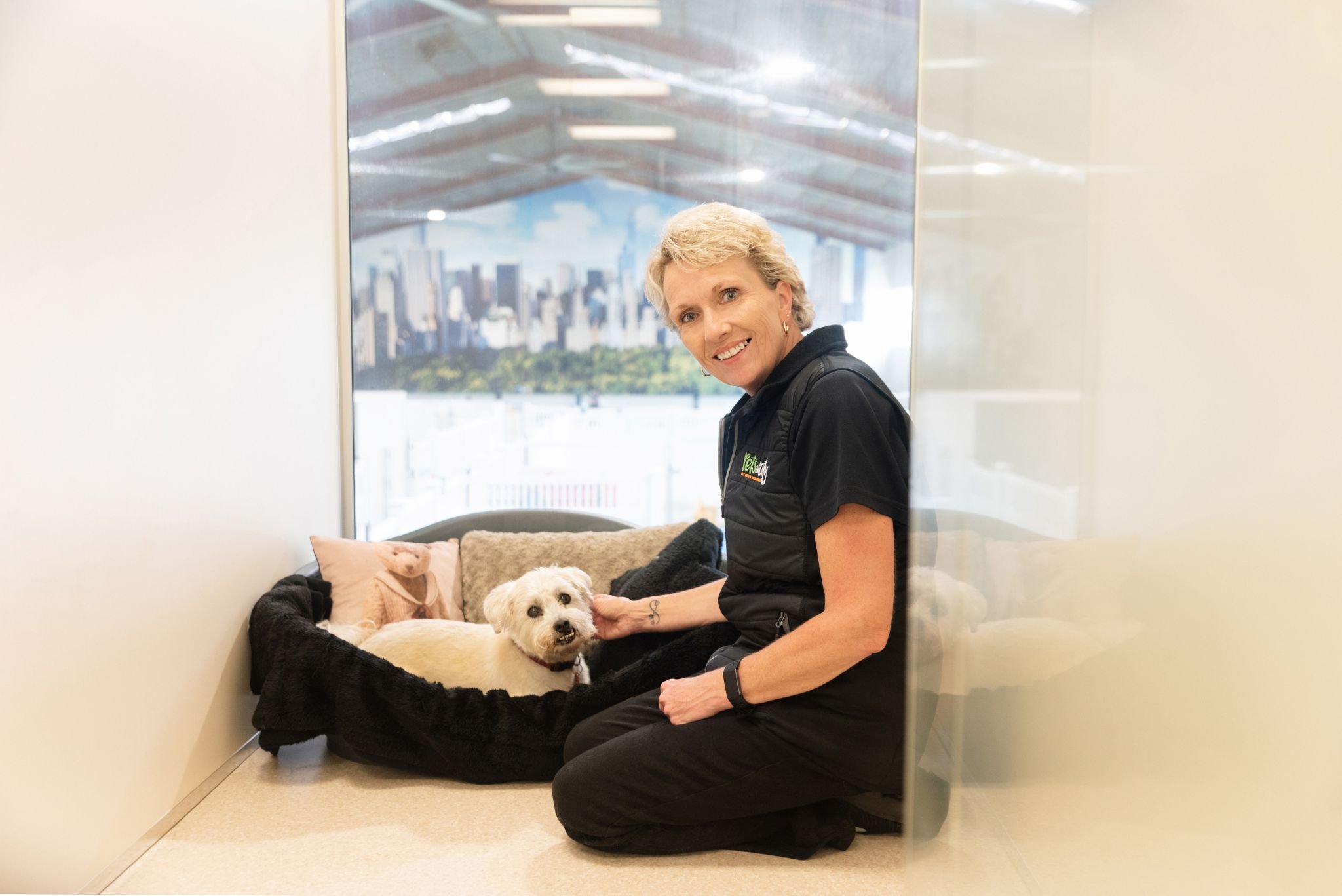 Dog Hotel in Auckland Pets in the City